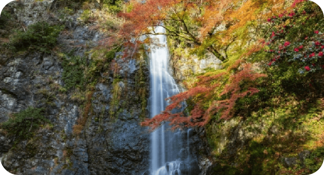 風光明媚な自然と歴史にふれる旅のイメージ
